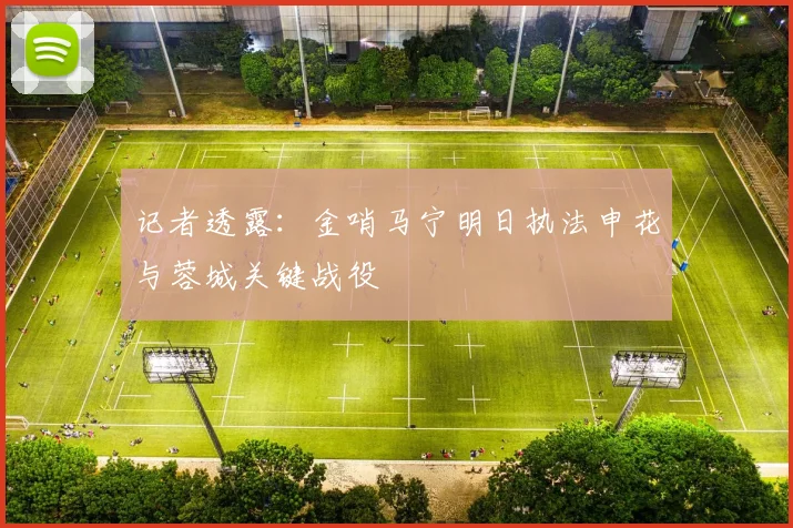 记者透露：金哨马宁明日执法申花与蓉城关键战役